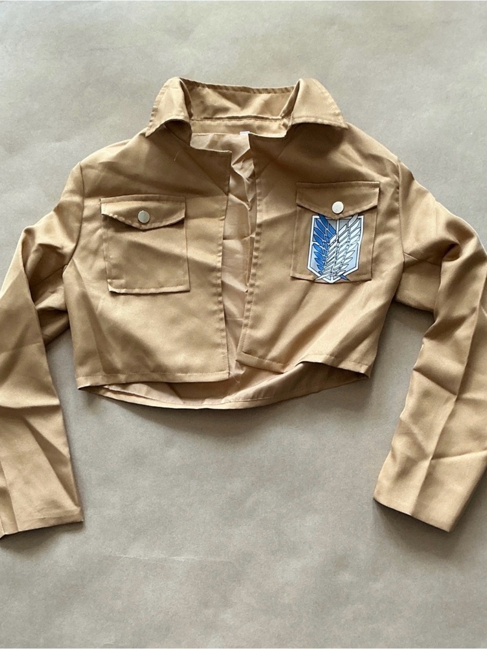 Attack on Titan top (Cosplay)